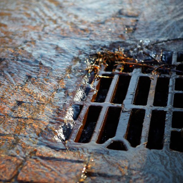 Runoff Drain With Leaves