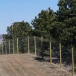 image of the I-25 wildlife fencing
