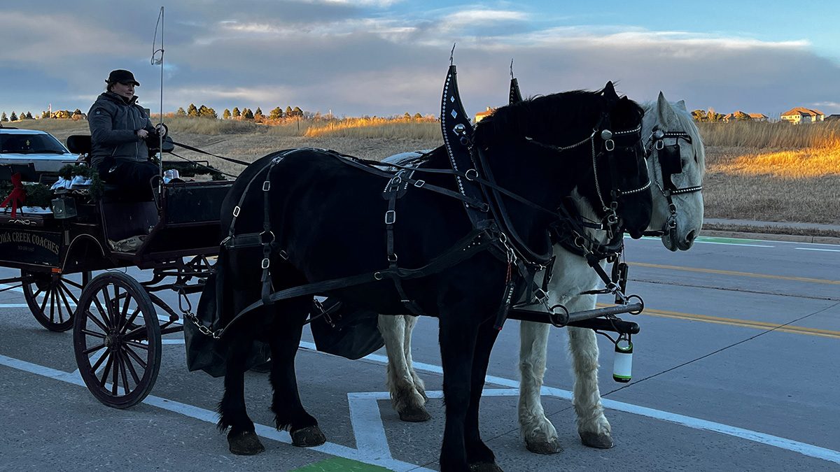 Two horses pulling a carriage