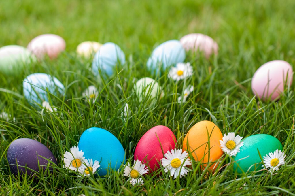 Different color Easter egg on a grass
