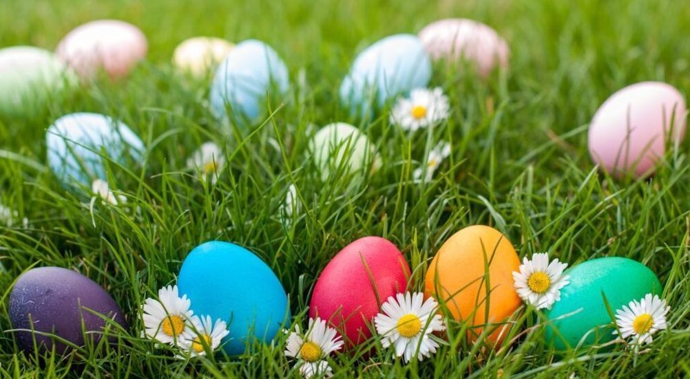 Different color Easter egg on a grass