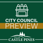 Decorative image and logo that reads City Council Preview