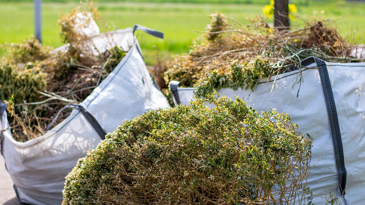 Bags filled with yard debris.