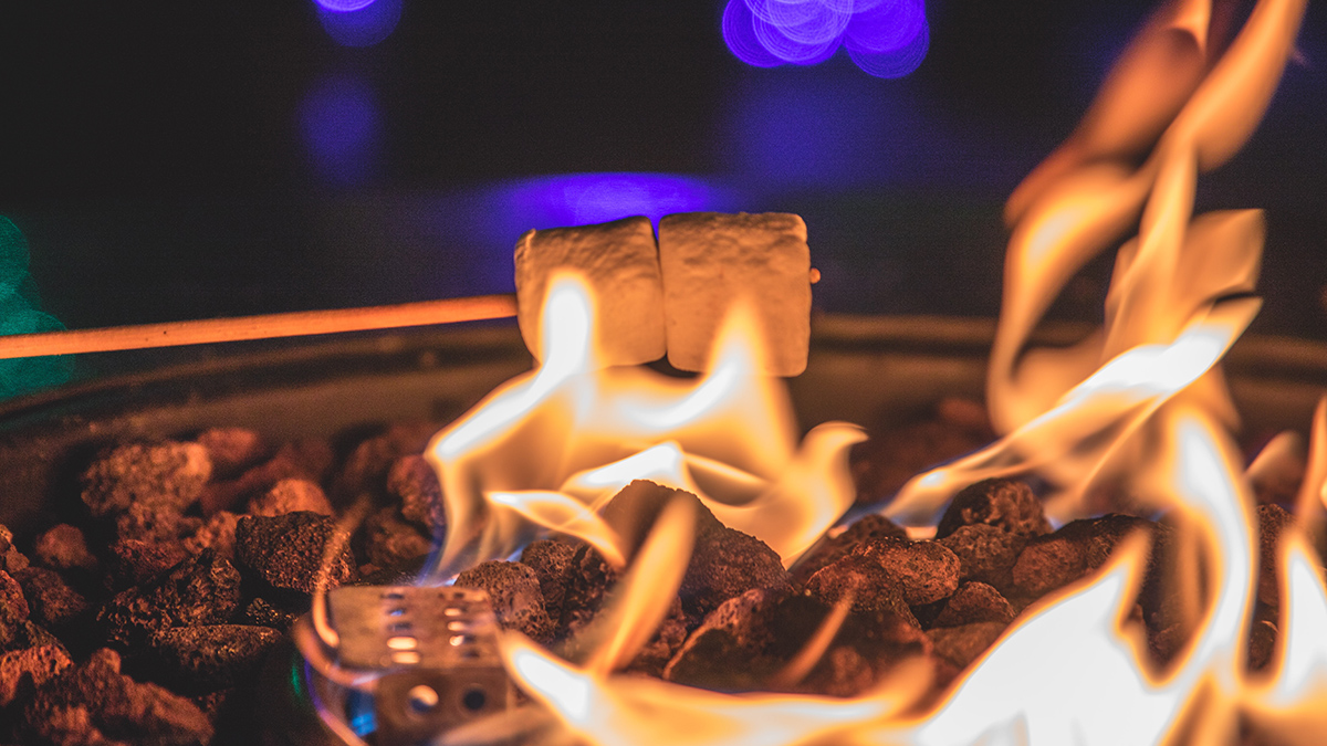 Cooking smores on a campfire