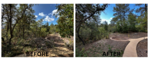 Fire mitigation on Forest Park residents property before and after photos