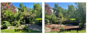 Before and after photos of HOA 1 resident wildfire mitigation for community grant project