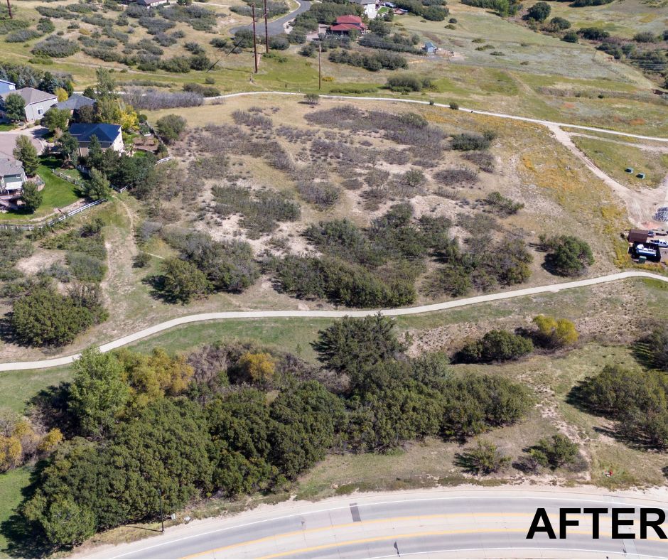 After wildfire mitigation photo of monarch blvd and briar cliff dr