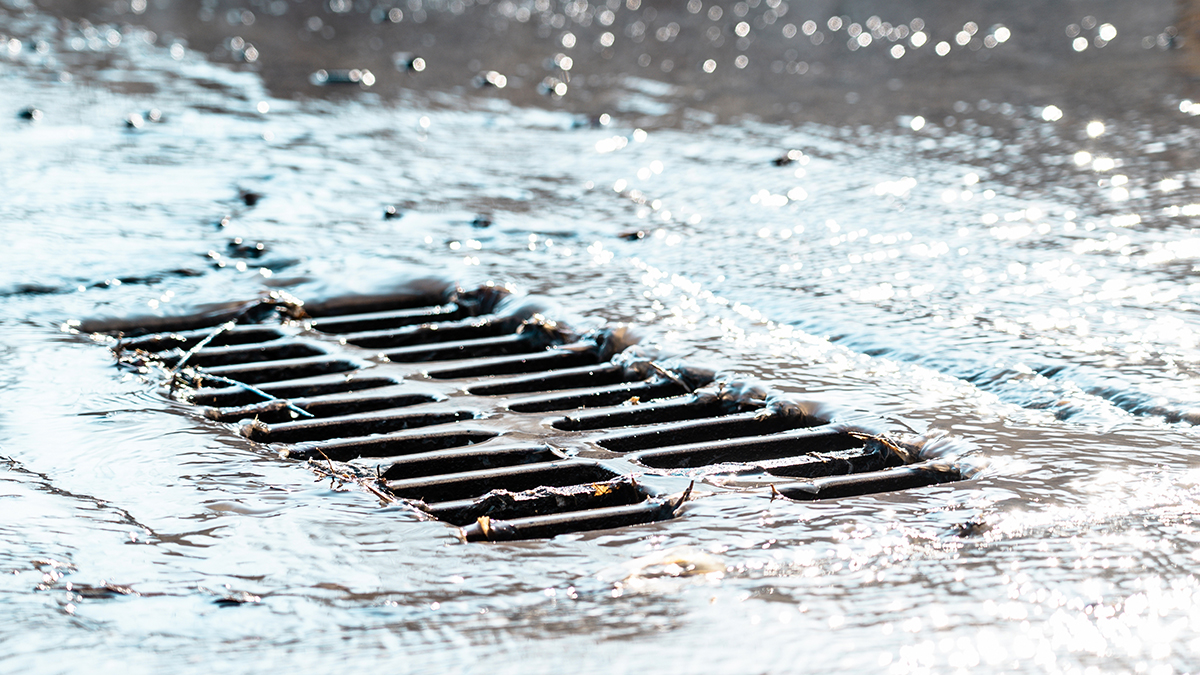 Rain falling and draining from a road into a stormwater drainage grate.