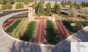 Rendering of a monument feature inside a roundabout with the Castle Pines logo and a variety of grasses, shrubs, and trees.