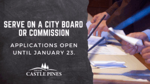Serve on a City Board or Commission