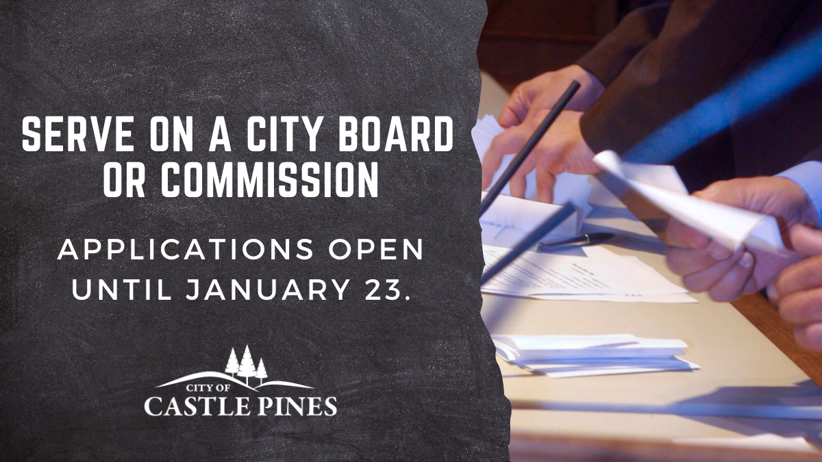 Serve on a City Board or Commission